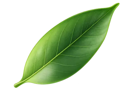 Left Leaf 1 - Top Small